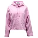 Acne Studios Hooded Sweater in Pink Cotton