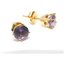 Gold Purple Purple Amethysts Stud Earrings - Autre Marque