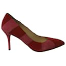 Charlotte Olympia Pointed-Toe Pumps in Pink and Red Suede 
