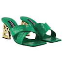 3.5 Mules - Dolce & Gabbana - Zerba/Verde - Leather