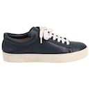 Stuart Weitzman Low Top Lace-Up Sneaker in Navy Blue Leather