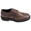Tod's Brogues Lace-ups in Brown Leather