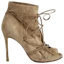 Gianvito Rossi Peep Toe Lace-Up Ankle Boots in Beige Suede 