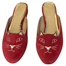 Maultiere - Charlotte Olympia