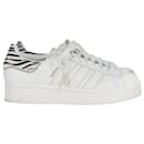 Adidas Superstar Bold Zebra Print Sneakers in White Leather - Autre Marque