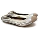 Silver & Gold Stretch Ballerina Pumps - Chanel