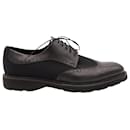 Salvatore Ferragamo Wing Tip Derby Shoes in Black Leather