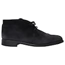 Tod's Chukka Boots in Navy Blue Suede