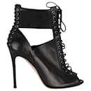 Gianvito Rossi Lace-up Ankle Boots