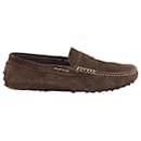 Tod's Gommino Loafers in Brown Suede 