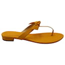 Alexandre Birman Clarita Thong Sandals in Yellow Leather