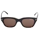 Tom Ford Snowdon Sunglasses in Brown Acetate