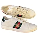 Gucci Bee trainers