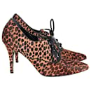 Dolce & Gabbana Lace-Up Ankle Boots in Animal Print Ponyhair