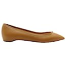 Christian Louboutin Solasofia Pointed Toe Flats in Brown Nappa Leather