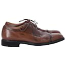 Tod's Lace Up Derby Shoes in Brown Leather