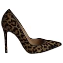 Gianvito Rossi Pumps in Animal Print Ponyhair