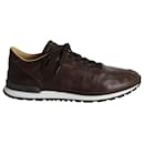Tod's Low-Top Sneakers in Brown Leather