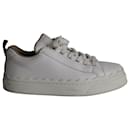 Chloé Lauren Scalloped Lace-up Sneakers in White Leather