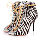 Sophia Webster, ankle boots with zebra print - Sophia webster