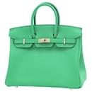 Hermès Birkin 25