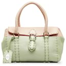 Fendi Rose Mini Selleria Linda
