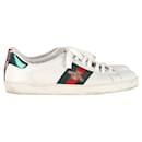 Gucci Embroidered Bee Ace Sneakers in White Leather