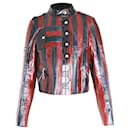 Louis Vuitton Striped Jacket in Multicolor Leather