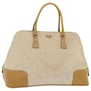 PRADA Hand Bag Canvas Leather Beige Auth 51816 - Prada