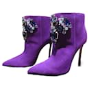 Dsquared2 púrpura / botas viola de gamuza