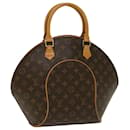 Cloth backpack Louis Vuitton Brown in Cloth - 12053236