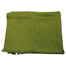 Dior Oblique Fringed Scarf in Green Cashmere and Silk