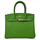 Nuova Birkin di Hermés 30 Colore Verte Jucca togo - Hermès