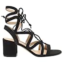 Gianvito Rossi Artemis 60 Lace-up sandals in black suede