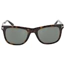 Black/Brown Leo TF336 Square Sunglasses - Tom Ford