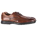 Tod's Lace-Up Brogues in Brown Leather