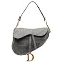 Dior Gray Embroidered Saddle Bag