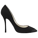 Rene Caovilla Décolleté Pumps in Black Suede 