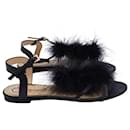 Charlotte Olympia Fifi Feather-Trimmed Sandals in Black Leather 