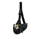 Black Dior x Kaws Bee Saddle Bag