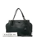 Leather Dreamer 36  41340 - Coach