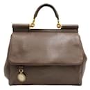 Brown Shoulder Bag with Gold Hardware - Dolce & Gabbana