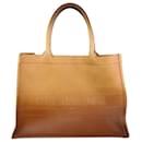brown 2021 leather ombre book tote - Christian Dior
