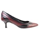 Pointed Pumps - Tod's