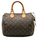 LOUIS VUITTON Handbags - Louis Vuitton