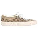 Gucci GG Logo Low Top Sneakers in Brown Canvas