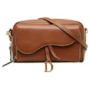 Brown Dior Double Saddle Pouch Crossbody Bag