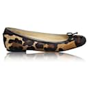 STUART WEITZMAN Leopard Print Pony Hair Flats - Stuart Weitzman