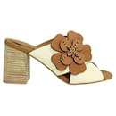 Contemporary Designer Cream And Brown Block Heels - Autre Marque