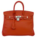 Hermès Birkin 25